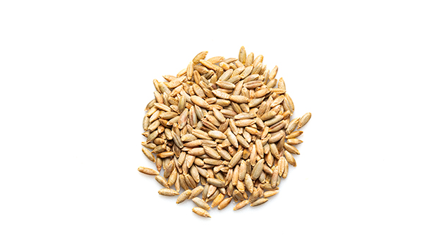Organic rye(Wheat) grains.