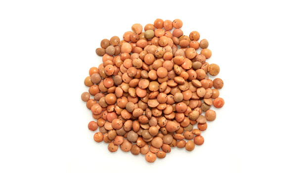 Organic brown lentils.