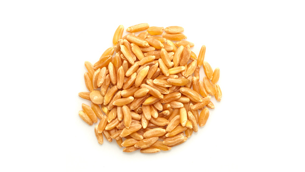 Organic kamut grains.